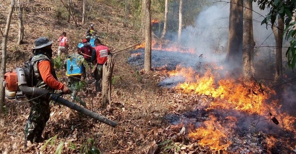 ไฟป่าหรืออัคคีภัย คือไฟที่ไม่ได้วางแผนไว้ซึ่งลุกไหม้ในพื้นที่ธรรมชาติ เช่น ป่า ทุ่งหญ้า หรือทุ่งหญ้าแพรรี ไฟป่ามักเกิดจากกิจกรรมของ