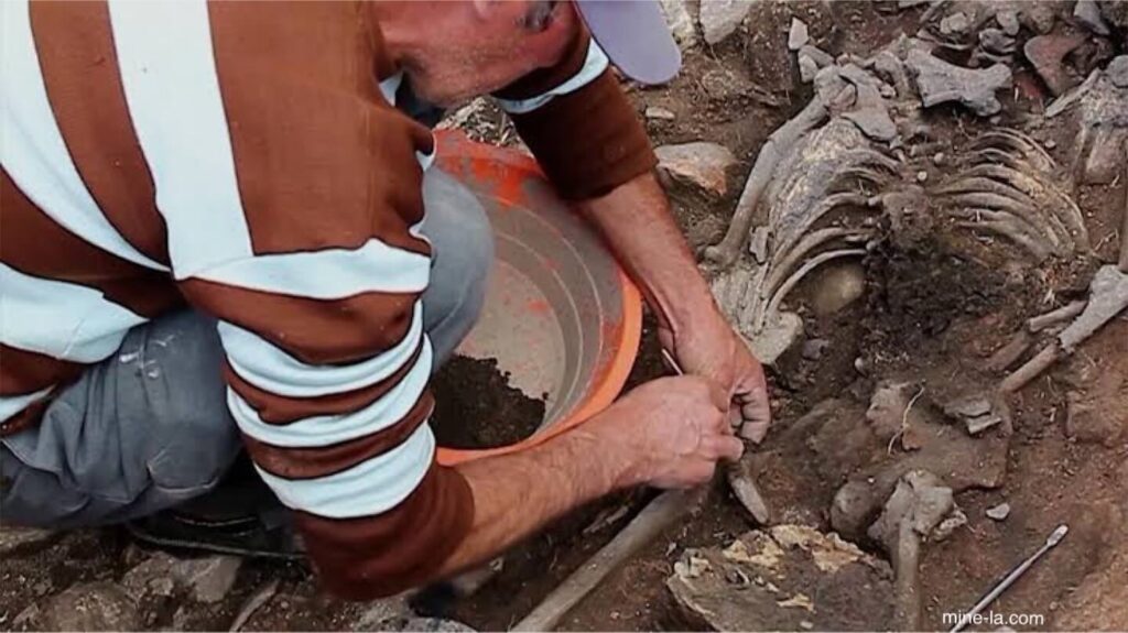 นักโบราณคดี เชี่ยวชาญในการศึกษาประวัติศาสตร์ของมนุษย์และผ่านการวิเคราะห์และตีความเนื้อหาที่สังคมในอดีตทิ้งไว้เบื้องหลัง พวกเขาสำ