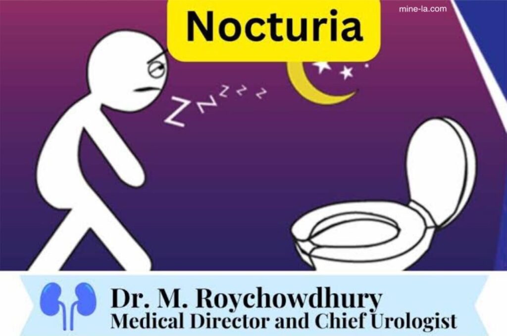 Nocturia เป็นภาวะที่ทำให้คุณตื่นกลางดึกเพื่อฉี่ ภาวะนี้เรียกอีกอย่างว่าความถี่ของปัสสาวะออกหากินเวลากลางคืน โดยต้องฉี่บ่อยขึ้น