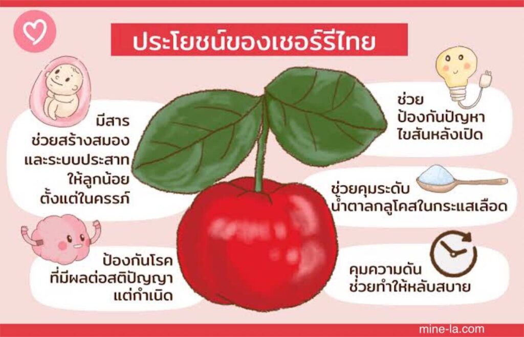 เชอร์รี่ งานวิจัยบางชิ้นแนะนำว่าเชอร์รี่อาจช่วยลดการอักเสบ ปรับปรุงการนอนหลับ บำรุงสุขภาพหัวใจ และอื่นๆ องค์ประกอบทางโภชนาการ