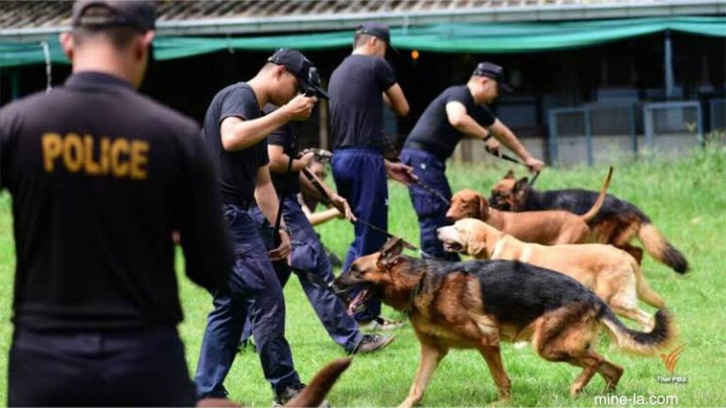 ข้อดีของการใช้สุนัขตำรวจ คือการใช้สุนัขทำงานเพื่อวัตถุประสงค์ต่างๆ เช่น การต้อนสัตว์หรือการล่าสัตว์ ย้อนกลับไปหลายศตวรรษ การบัง