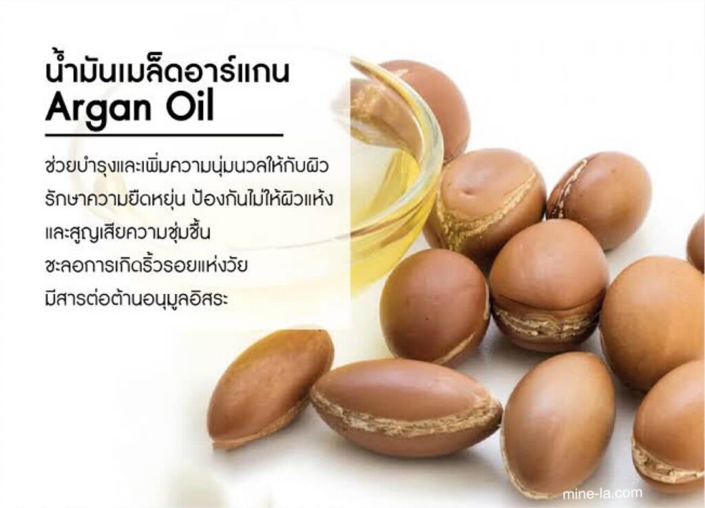 ภายในผลไม้ลูกเล็กๆ นั้นคือถั่วเล็กๆ ที่ให้ น้ำมันอาร์แกน แก่เรา เป็นเวลาหลายชั่วอายุคน ชาวพื้นเมืองของป่าอาร์แกนในโมร็อกโกได้กดถั่