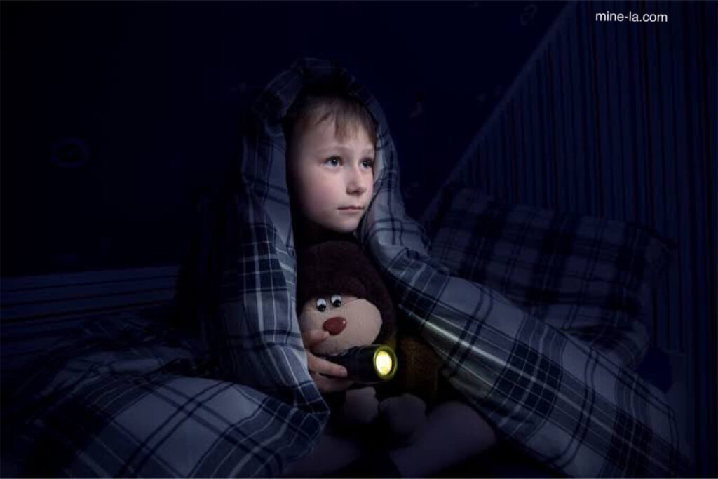Nyctophobia คืออาการกลัวความมืดอย่างรุนแรง ความกลัวนี้พบได้บ่อยในเด็ก แต่สามารถเกิดขึ้นกับคนทุกวัยได้ ผู้ที่มีอาการวิตกกังวลประเภ