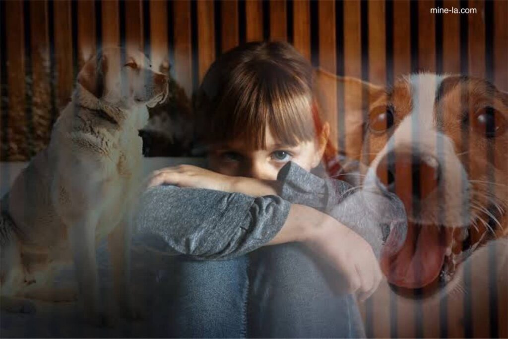Cynophobia โรคกลัวสุนัข เป็นอาการกลัวสุนัขอย่างรุนแรง ผู้ที่เป็นโรควิตกกังวลประเภทนี้จะรู้สึกกลัวและวิตกกังวลอย่างรุนแรงเมื่อนึกถึง เห็น