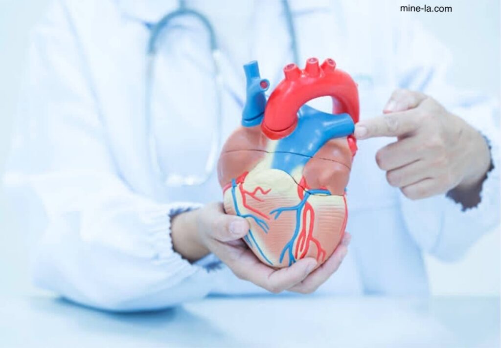 Supraventricular tachycardia เป็นภาวะที่หัวใจเต้นเร็วมากหรือเต้นไม่สม่ำเสมอ หัวใจปกติจะเต้นประมาณ 60 ถึง 100 ครั้งต่อนาที ในช่วงSVTหัวใจ